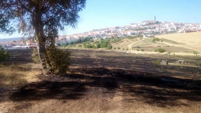 Un incendio arrasa cuatro hectreas