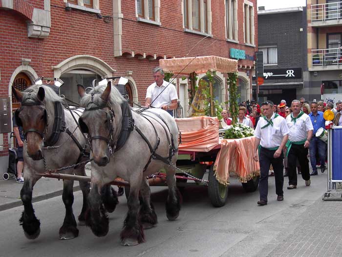 Fiesta del Roco 2015 en Vilvoorde