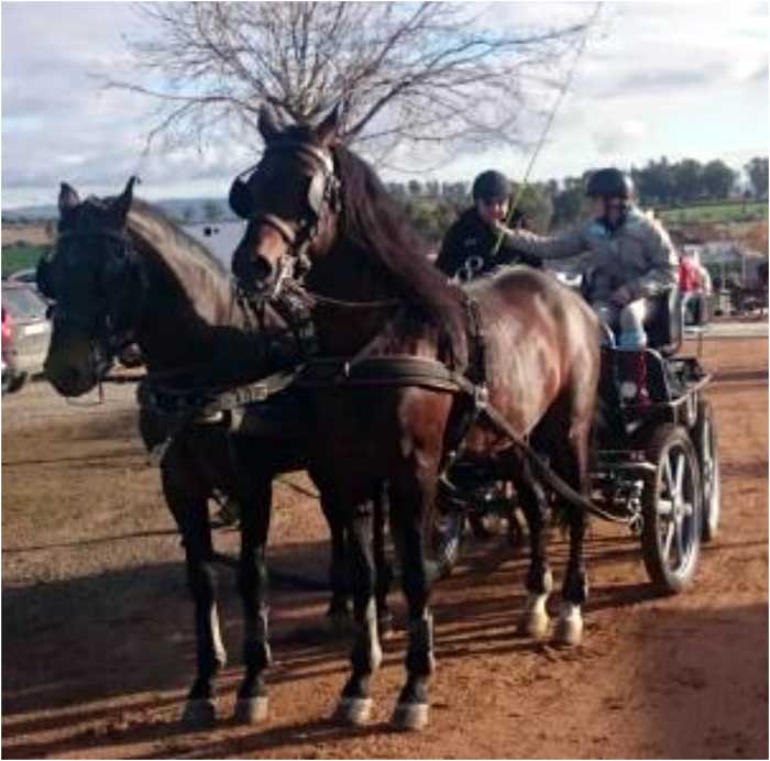 Sptima edicin del raid y la tercera de la carrera de postas