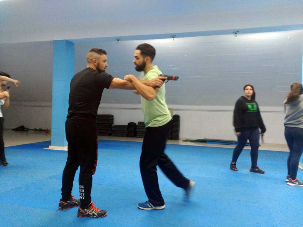 Seminario de krav maga 