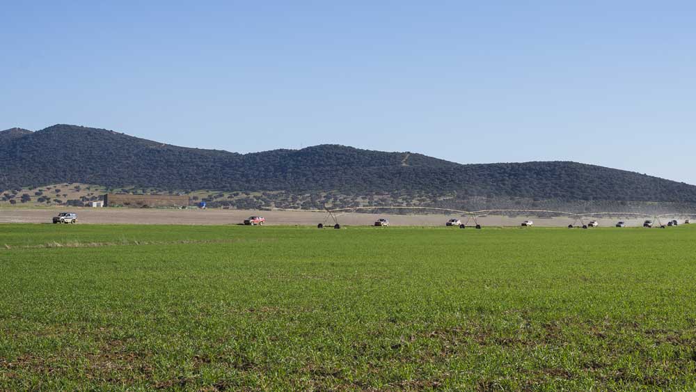 Participantes en la ruta en todoterreno