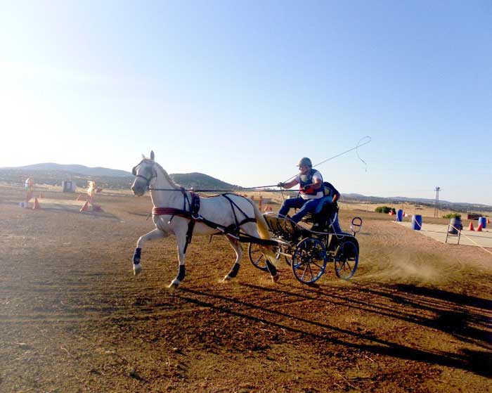 Fuente Obejuna celebra su V Indoor de enganches