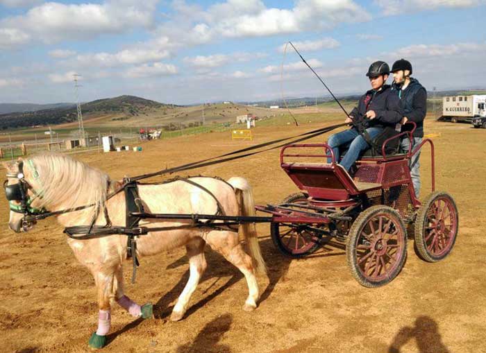 VIII RAID Valle del Guadiato y IV Carrera de Postras