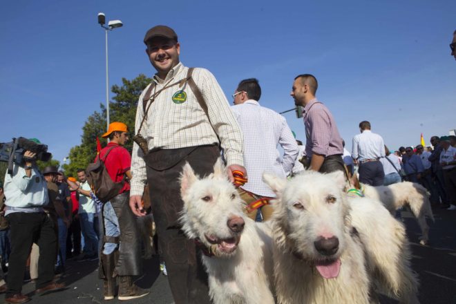 Un manifesante con sus perros