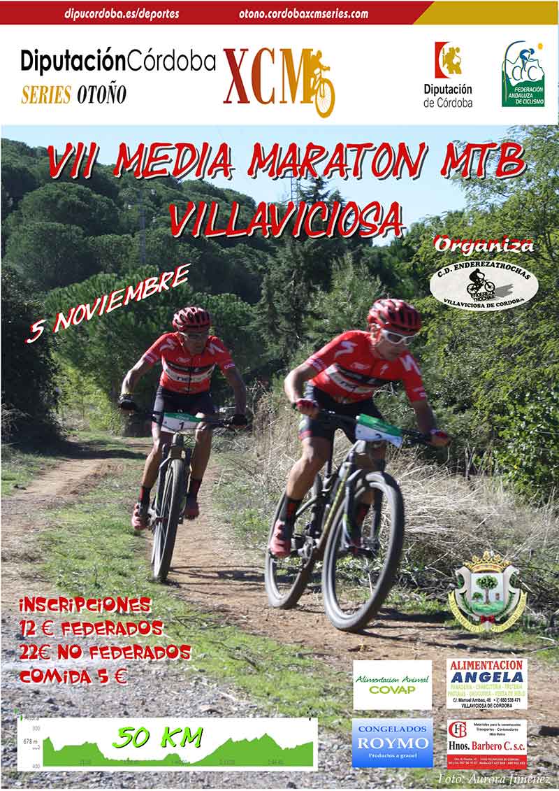 VII media maratn de Villaviciosa