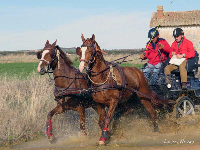 IX Raid Valle del Guadiato y V carrera de postas 