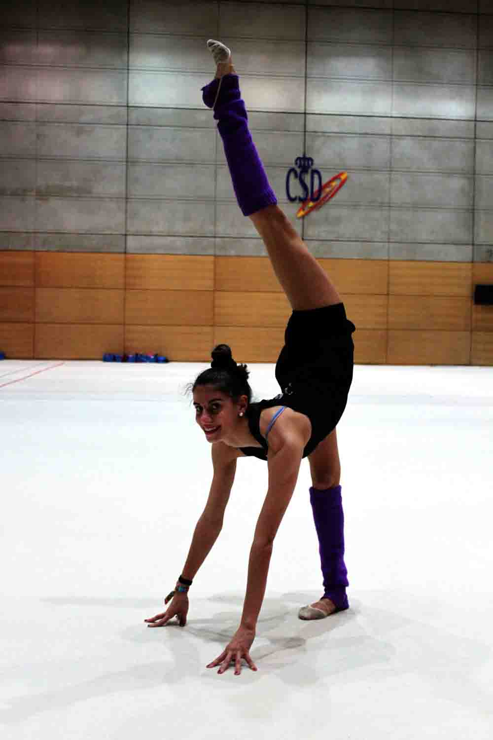 Lourdes Snchez de Mora, gimnasta