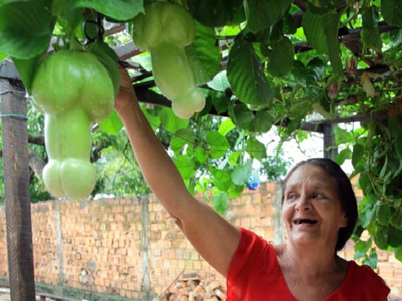 Maria Rodrigues de Aguiar Farias muestra su maracujazeiro (Foto: Honrio Moreira)