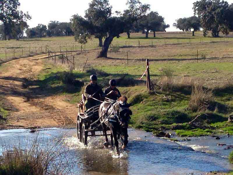 Quinta edicin del Raid Hpico Valle del Guadiato