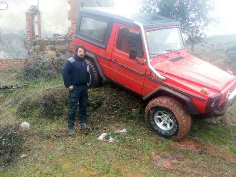 Pinos y barro