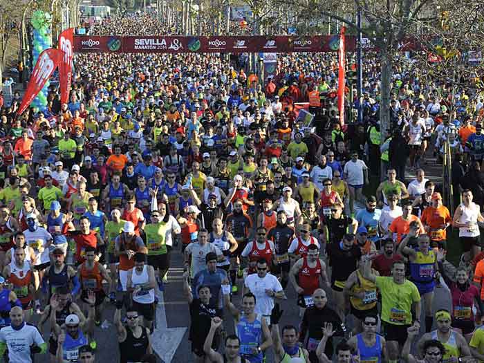 XXX maratn de Sevilla 2.014