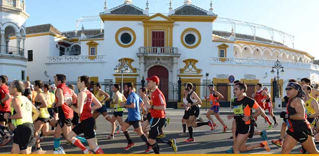 XXX maratn de Sevilla 2.014