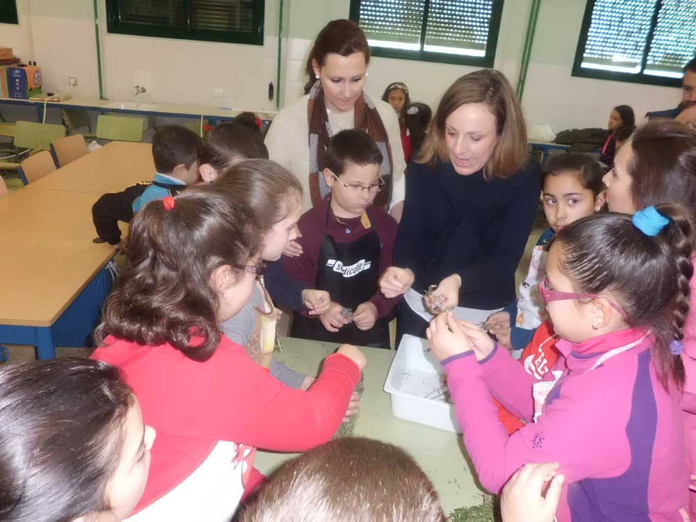 Semana cultural del colegio Aurelio Snchez