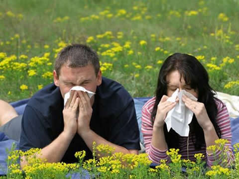 Para saber ms sobre la alergia y el asma bronquial