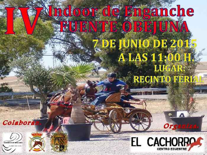 Celebracin del IV Indoor de Enganches