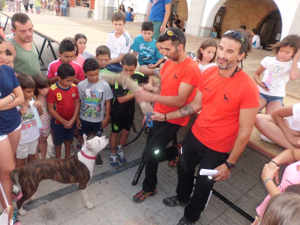 Jornada de prevencin dirigida a nios y jvenes