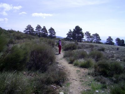 El paraje de Los Machos seguir sin electricidad