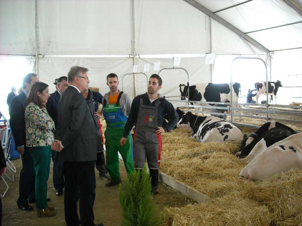  VIII Feria del Ganado Vacuno de Raza Frisona