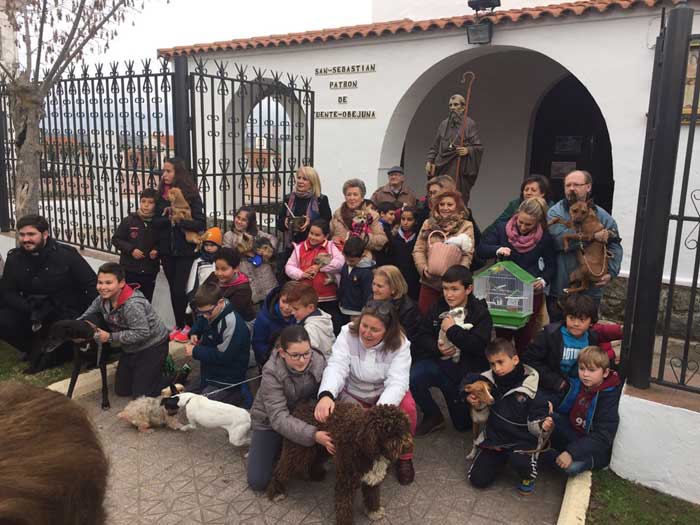 Bendicin de animales por San Antn en Fuente Obejuna