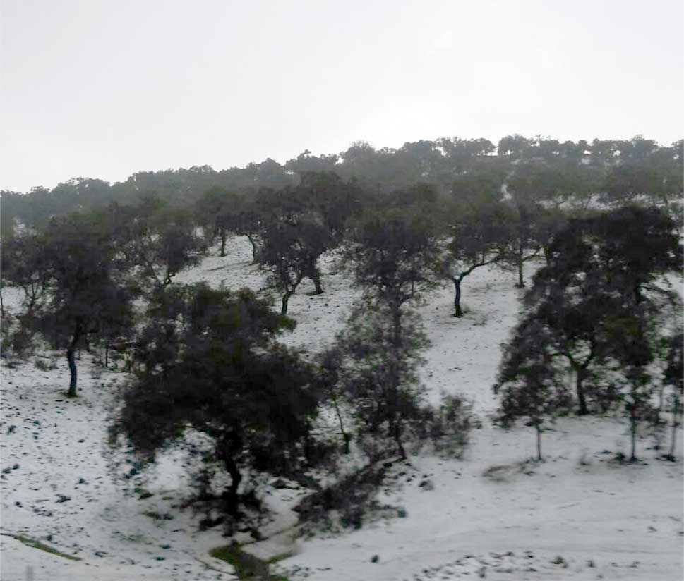 Nieva en el Valle del Guadiato