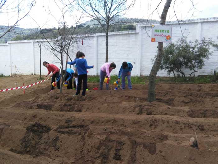 El Colegio Miguel de Cervantes pone en marcha un Huerto escolar