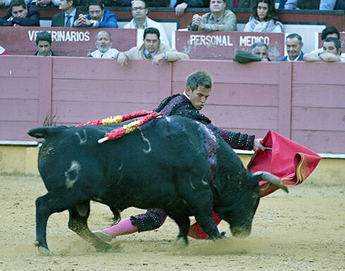 Toros en Cabra