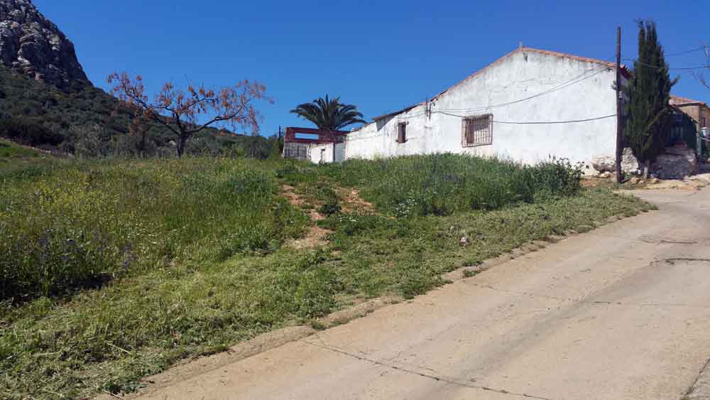 Zona de la calle Puerto