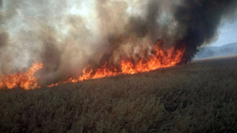 Un incendio arrasa unas 25 hectreas de pasto en la Sierra de La Grana