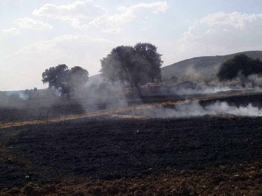 Un incendio arrasa unas 25 hectreas de pasto en la Sierra de La Grana