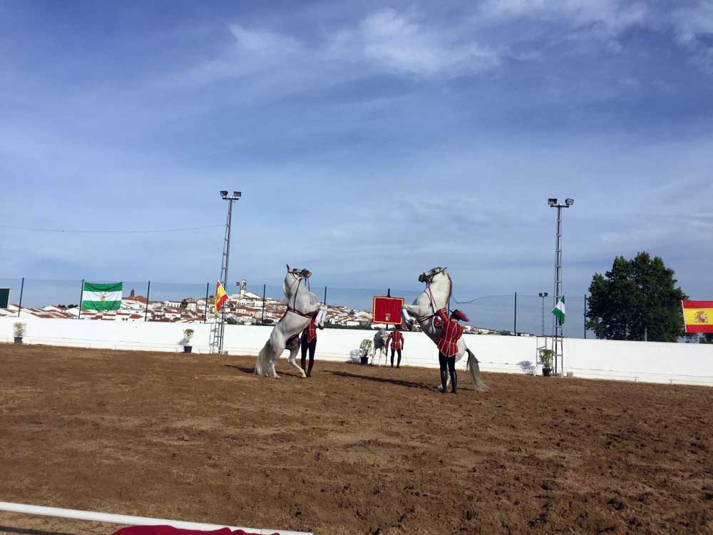 XXXIV Feria Agrcola y Ganadera de Fuente Obejuna