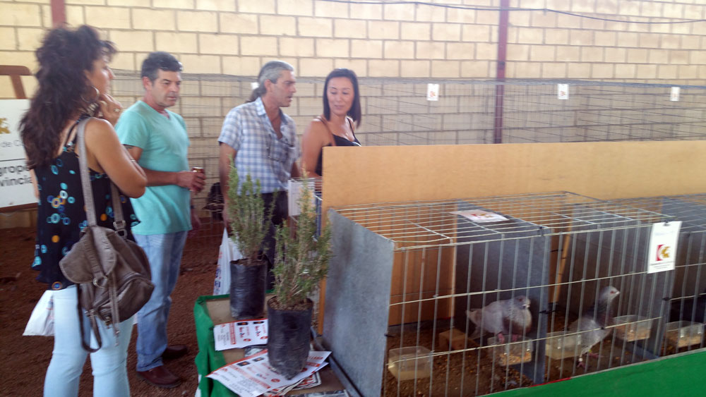 XXXIV Feria Agrcola y Ganadera de Fuente Obejuna