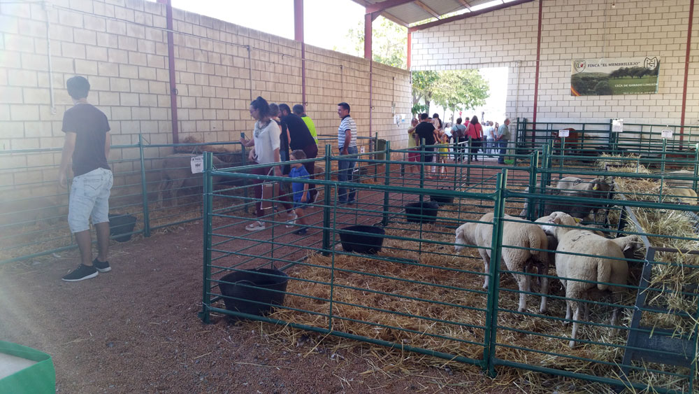 XXXIV Feria Agrcola y Ganadera de Fuente Obejuna