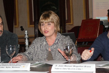 Posibles discrepancias entre el propio equipo de gobierno
