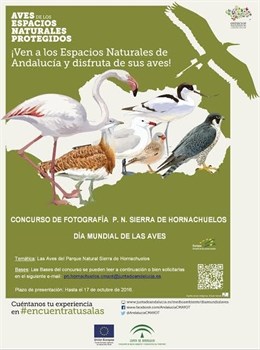 Concurso fotogrfico por el Da Mundial de las Aves