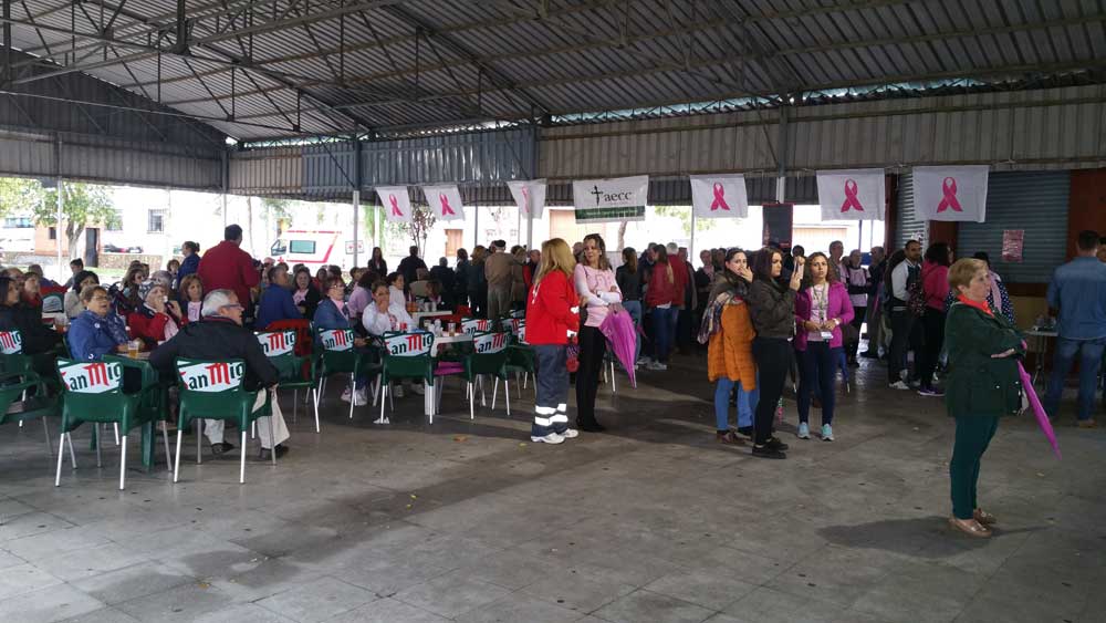 Actividades organizadas por la AECC de Peñarroya