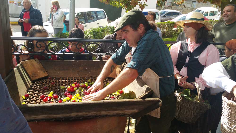 Villanueva del Rey celebra su fiesta de la trasiega