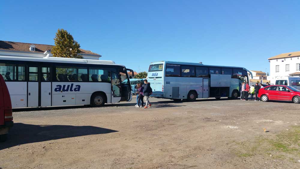 La Junta adjudica de forma definitiva el transporte escolar 