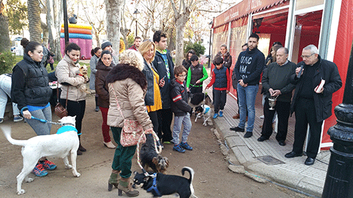 Bendicin de mascotas por San Antn en Pearroya