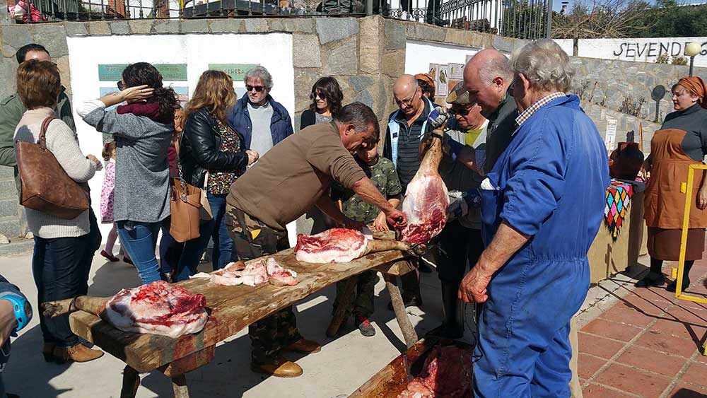 XII edicin de la Matanza Tradicional del Cerdo en El Alcornocal