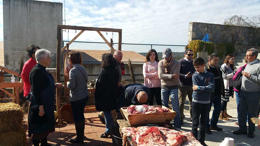 XII edicin de la Matanza Tradicional del Cerdo en El Alcornocal