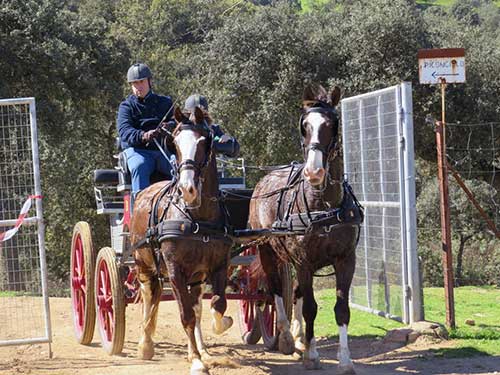 Carrera de postas en Ojuelos Altos