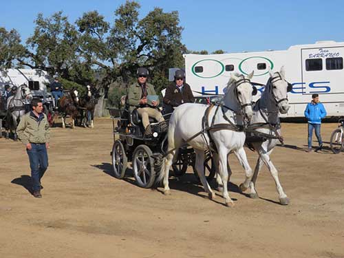 Carrera de postas en Ojuelos Altos