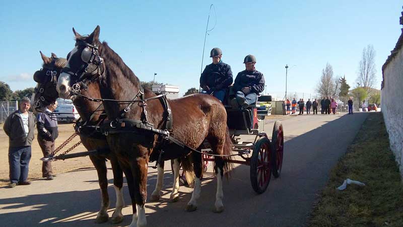 Carrera de postas en Ojuelos Altos