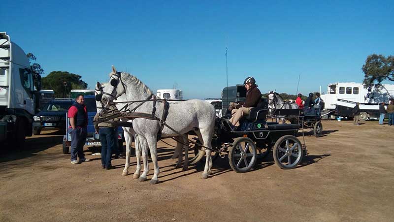 Carrera de postas en Ojuelos Altos