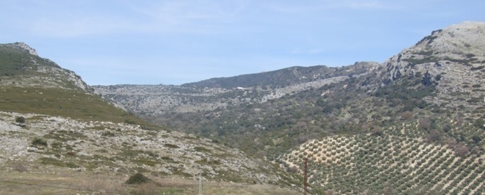 Patrimonio geolgico y paleontolgico de la sierra de Cabra