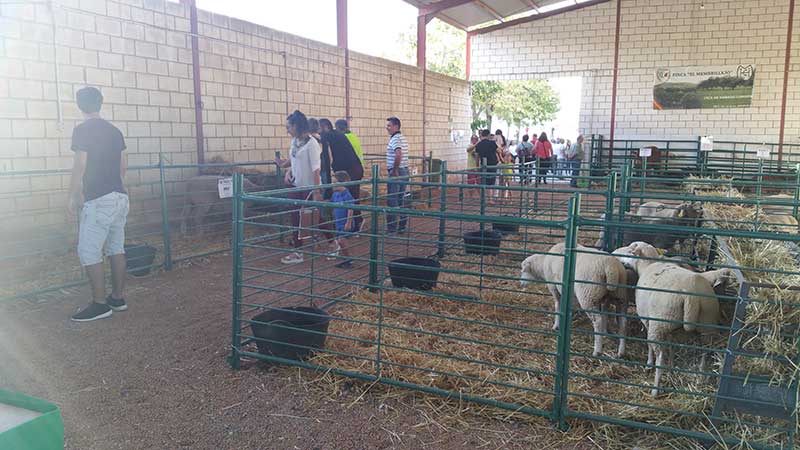 La Feria Agroganadera se celebrar del 15 al 17 de septiembre