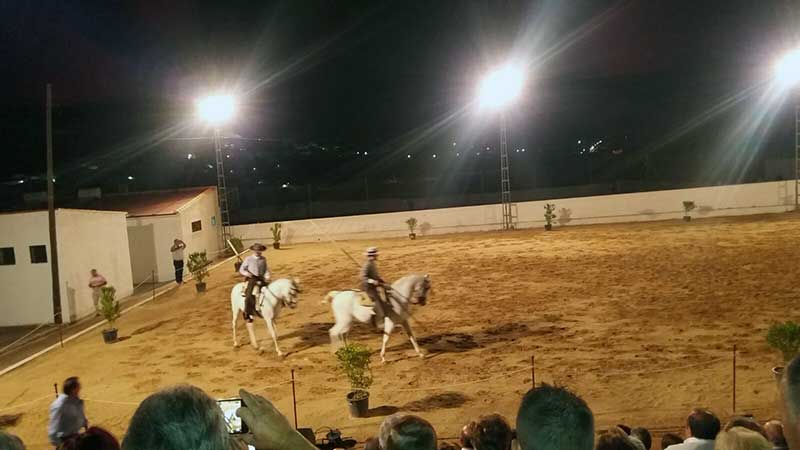 Espectculo ecuestre `Aire andaluz` en FAGA 2017