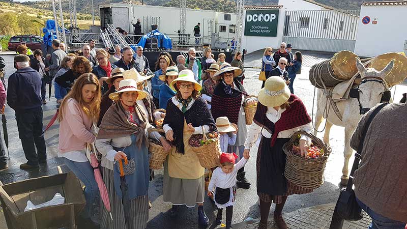 La fiesta de la trasiega para recuperar la tradicin del vino de pitarra