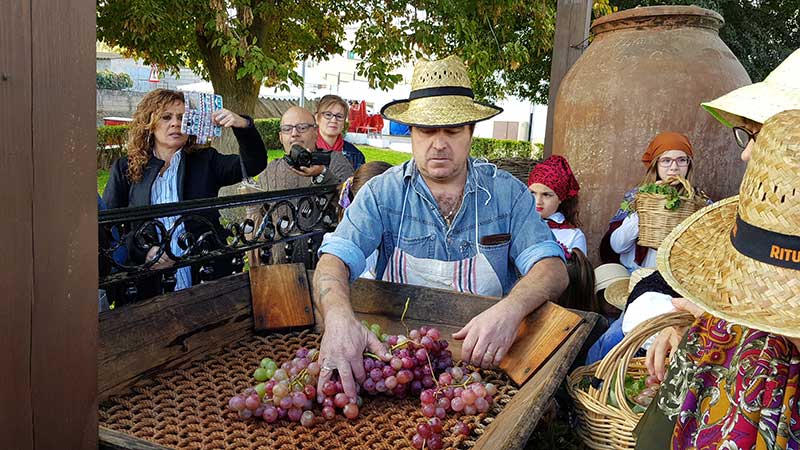 La fiesta de la trasiega para recuperar la tradicin del vino de pitarra