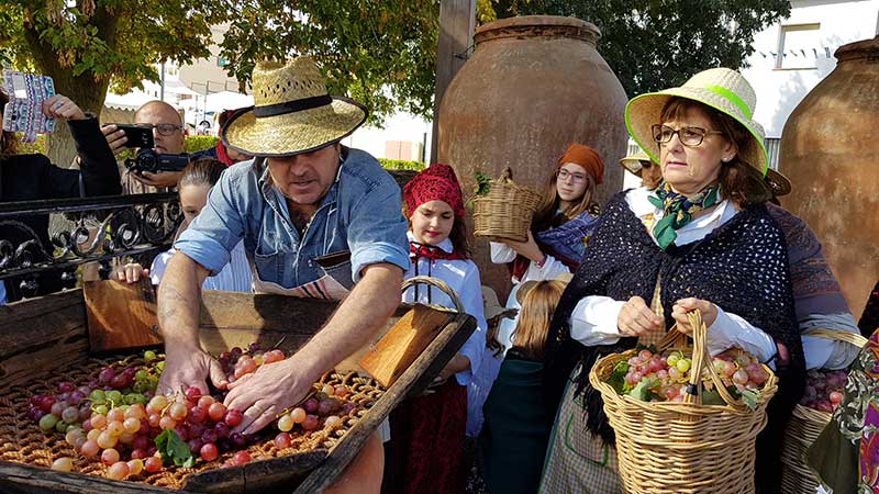 La fiesta de la trasiega para recuperar la tradicin del vino de pitarra